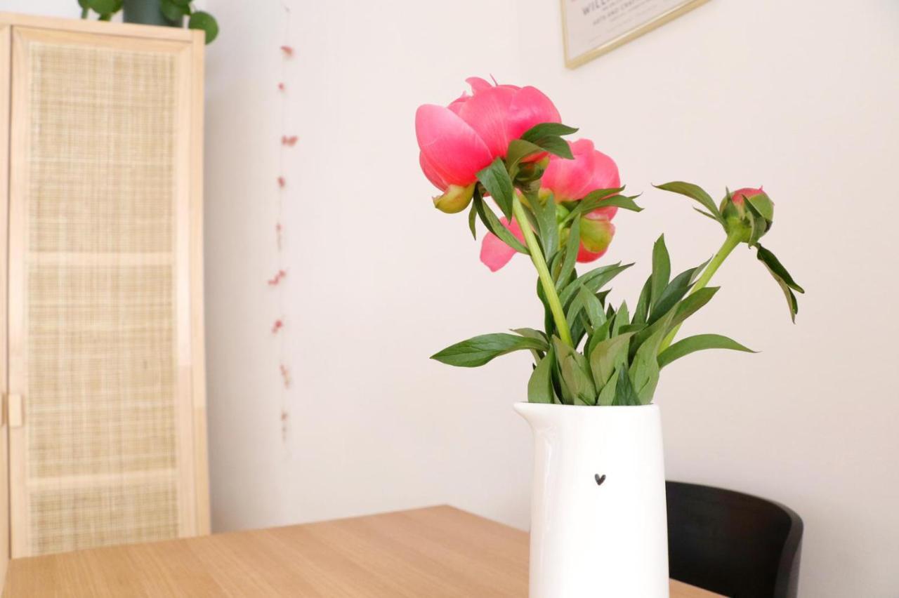 Appartement Cosy 40M2 Centre-Ville Historique Vannes Esterno foto